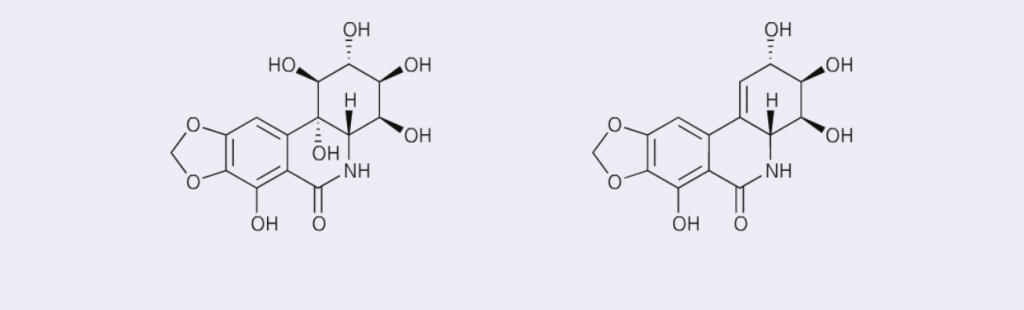 Photochemistry - Pancratistain narciclasine