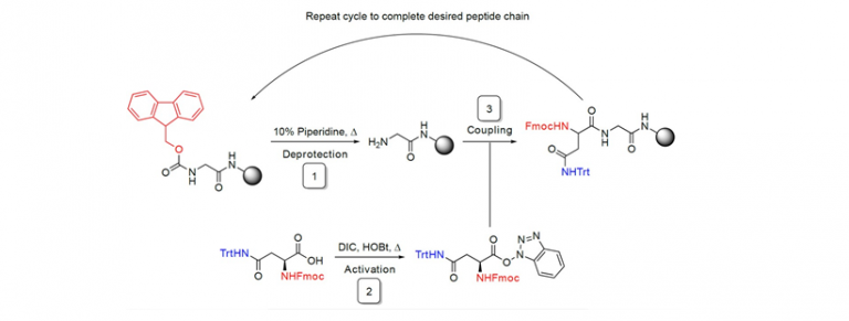 Peptide Synthesis - Continuous Flow Chemistry - Vapourtec