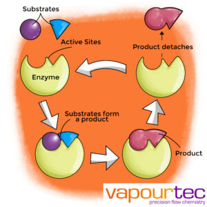 Enzymatic reaction - biocatalysis schematic