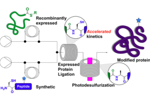 Schematic showing use of EPL in a flow set-up (Image taken from Payne and co-workers